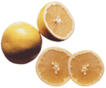 grapefruit
