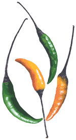 Thai chile