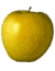 Golden Delicious apple