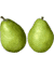 Anjou pear