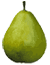 Bartlett pear