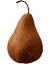 Bosc pear