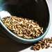 Fennel seed