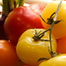 Tomatoes