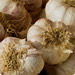Roasting Garlic (Video)