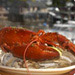 Steamed Lobster