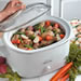 slow cooker