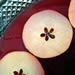 Apple Orchard Punch