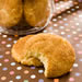 Snickerdoodle