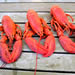 Lobster