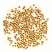coriander