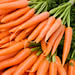 Raw Carrots