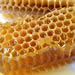 Honeycomb