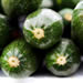 zucchini/courgettes