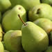 Anjou pears