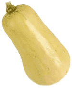 butternut squash