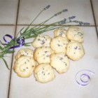 http://images.allrecipes.com/site/allrecipes/area/community/userphoto/small/37347.jpg